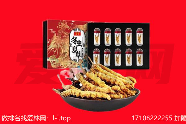 驻马店回收虫草.jpg